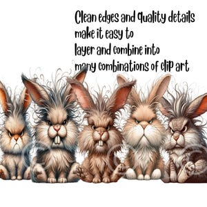18 Transparent Background Grumpy Bunny Rabbit Clip Art, PNG 300 Dpi ...