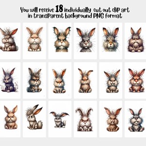 18 Transparent Background Grumpy Bunny Rabbit Clip Art, PNG 300 Dpi ...
