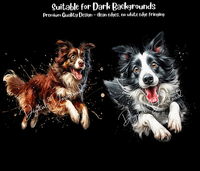 May include: Two digital illustrations of border collie dogs running with their tongues out. The dogs are against a black background with white paint splatters.