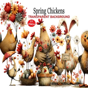 May include: A whimsical illustration featuring cartoon chickens with floral bouquets and spring-themed elements. The image includes the text "Spring Chickens" and "Transparent Background". Various chickens are depicted with flowers, eggs, and a sign that reads "Spring is Here".