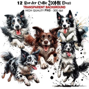 May include: Twelve digital illustrations of Border Collie dogs in various poses, with a watercolor-style background. The dogs are all white and black, with some brown markings. The background is a light blue with white splatters.