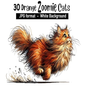 30 roliga orange Zoomie-katter JPG vit bakgrund clipart 300 dpi digital nedladdning högkvalitativa utskrifter sublimering journal scrapbook hantverk