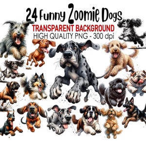 24 Transparent Background Funny Zoomie Dogs Clip Art, PNG 300 dpi High Quality Digital Download Prints Watercolor, Sublimation Puppy