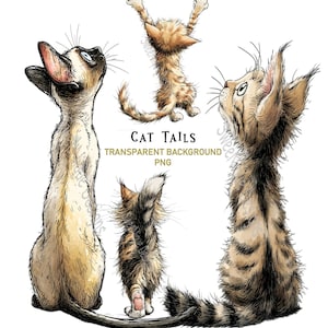 Imágenes prediseñadas PNG de gatos desde atrás: 26 gráficos caprichosos con fondo transparente para sublimación o impresión. Descarga digital.