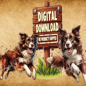 May include: Digital download graphic featuring two brown and white border collies running towards a wooden sign that reads "Digital Download No Product Shipped".