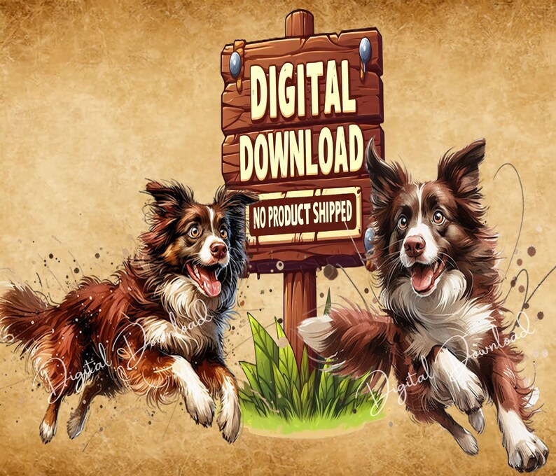 May include: Digital download graphic featuring two brown and white border collies running towards a wooden sign that reads "Digital Download No Product Shipped".