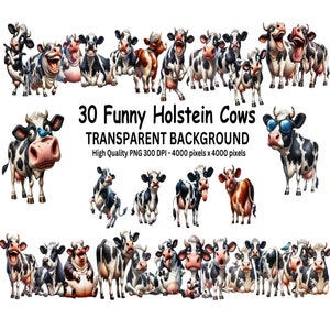 Puede incluir: 30 ilustraciones digitales de vacas Holstein en varias poses, con expresiones divertidas. Las vacas están aisladas sobre un fondo transparente. PNG de alta calidad 300 DPI - 4000 píxeles x 4000 píxeles.