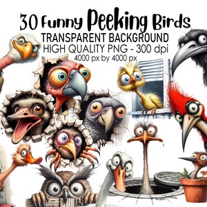 Op de afbeelding: 30 digitale illustraties van grappige cartoonvogels die uit verschillende achtergronden kijken. De vogels zijn in verschillende kleuren en poses, sommige dragen hoeden of brillen. De afbeeldingen zijn hoogwaardige PNG-bestanden met transparante achtergründen.