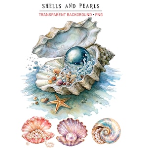 May include: A digital illustration titled SHELLS AND PEARLS TRANSPARENT BACKGROUND PNG featuring an open seashell with a large dark blue pearl, water splashes, and smaller shells. Below are three additional shells containing white pearls.