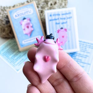 May include: A pink axolotl figurine with a black hat and a pink heart on its belly. The figurine is held in a hand, with two small cards in the background. One card reads "Axolotl!" and the other reads "a little pocket hug just for you!"