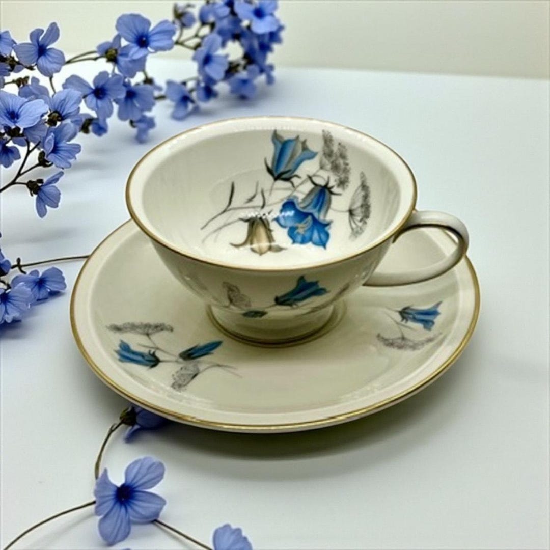 Rosenthal Winifred Teacup & Saucer Set-germany Selb Porcelain Blue