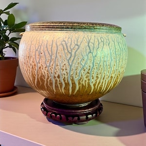 May include: A decorative ceramic bowl with a lid, featuring a textured, tree-like pattern in white and brown. The bowl sits on a dark wooden stand. The lid has a brown and green rim.