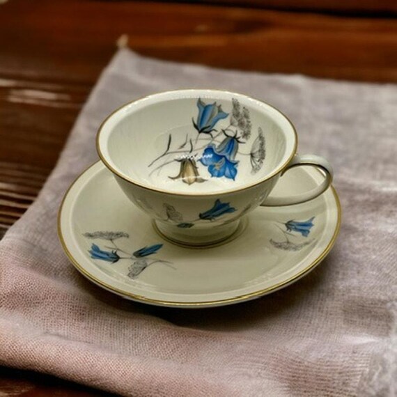 Rosenthal Winifred Teacup & Saucer Set-germany Selb Porcelain Blue