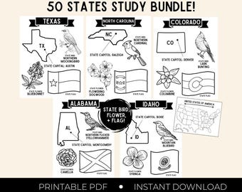 50 States Study and Coloring Bundle, USA Homeschool Geography, Birds, Flowers, Flags (Digital Download)