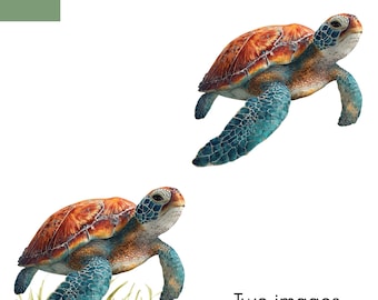 Sea Turtle Line Art, Beach SVG, Ocean Animals (Digital Download)