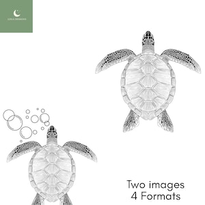Sea Turtle SVG PNG, Turtle Line Art, Beach Svg, Sea Turtle Dxf, Marine Life Svg, Turtle Clipart, Ocean Animals, Animal Line Art, Ocean Svg