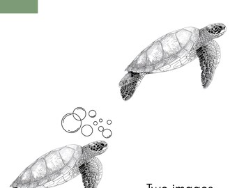Żółw morski – grafika liniowa SVG PNG, grafika liniowa przedstawiająca życie morskie (pobieranie cyfrowe)
