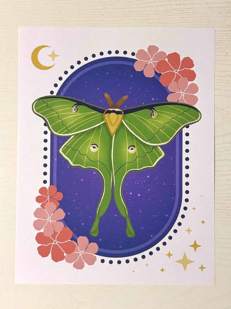 Luna Moth Art Print - Etsy