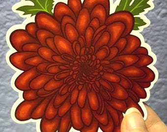 Chrysanthemum Sticker