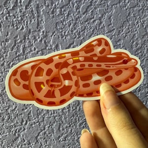 Albino Corn Snake Sticker