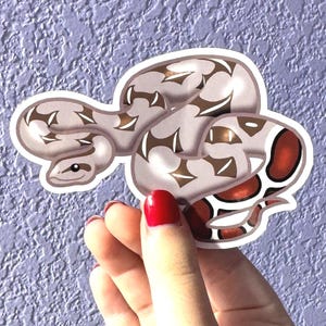 May include: A die-cut sticker featuring a coiled snake with a light gray body, dark brown geometric markings, and a distinct reddish-brown pattern on the tail section. The snake has a smooth, glossy finish with white highlights and a white border.