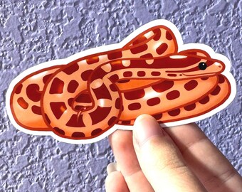 Hypo Corn Snake Sticker