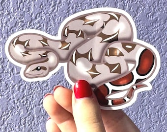 Red-tailed Boa Sticker