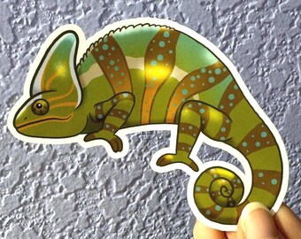 Veiled Chameleon Sticker