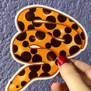 Kenyan Sand Boa Sticker