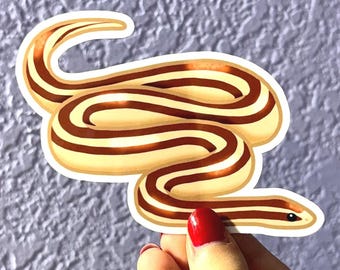 Rosy Boa Sticker