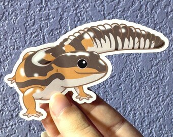 Ghost African Fat-Tailed Gecko Sticker