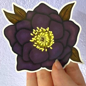 Black Hellebore Sticker