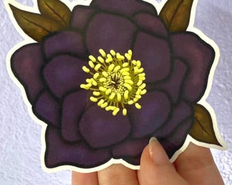 Black Hellebore Sticker