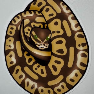 K&ouml;nnte beinhalten: Ein Aufkleber mit einer zusammengerollten Schlange mit einem braunen und beigen Muster. Die Schlange hat einen dunkelbraunen Kopf mit gr&uuml;nen Augen und einen wei&szlig;en Bauch. Der Aufkleber befindet sich auf wei&szlig;em Hintergrund.