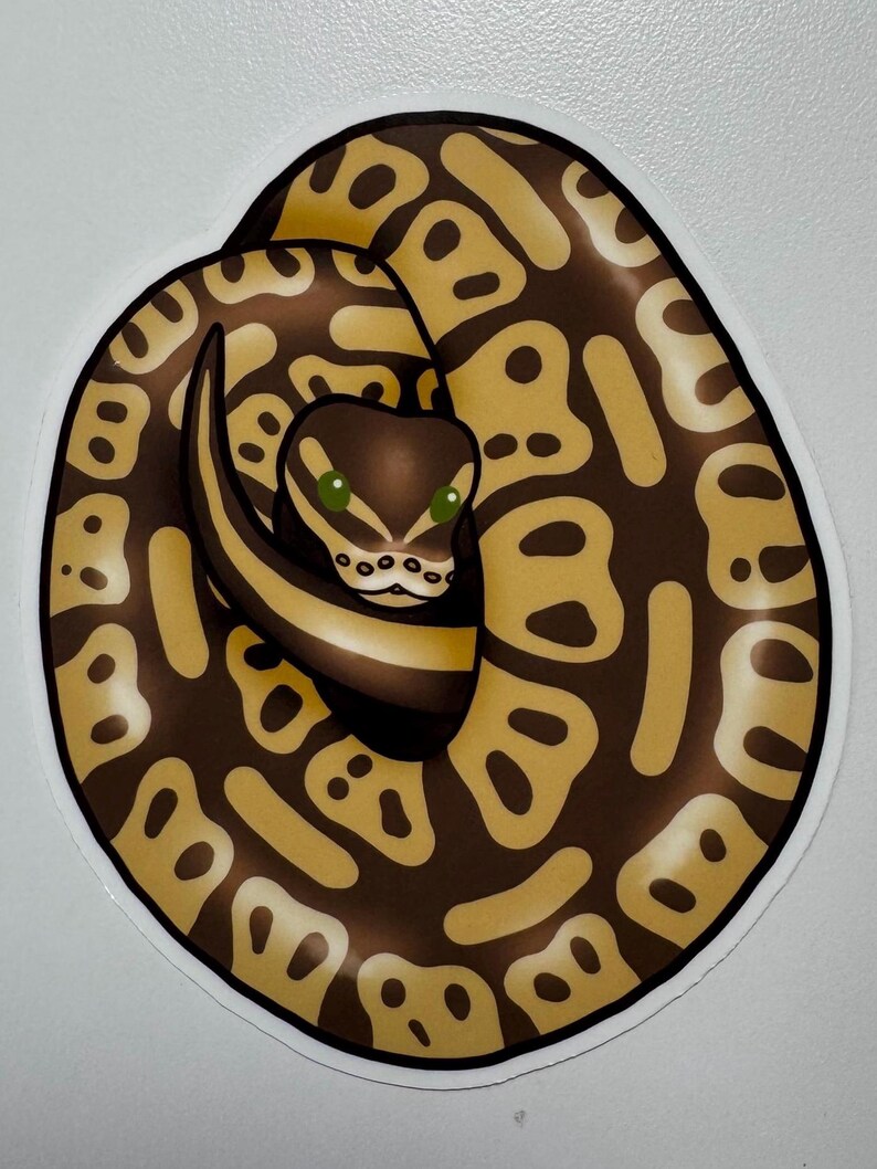 K&ouml;nnte beinhalten: Ein Aufkleber mit einer zusammengerollten Schlange mit einem braunen und beigen Muster. Die Schlange hat einen dunkelbraunen Kopf mit gr&uuml;nen Augen und einen wei&szlig;en Bauch. Der Aufkleber befindet sich auf wei&szlig;em Hintergrund.