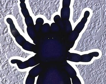 Brazilian Black Tarantula Sticker