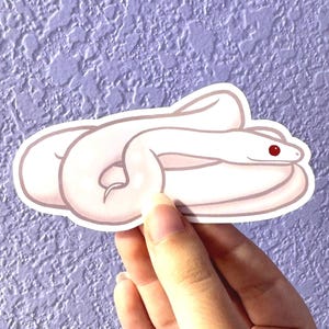 Blizzard Corn Snake Sticker