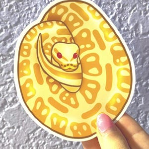 Albino Ball Python Sticker