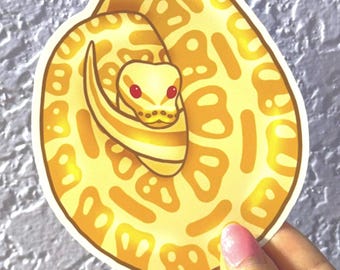 Albino Ball Python Sticker