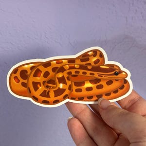 Corn Snake Sticker