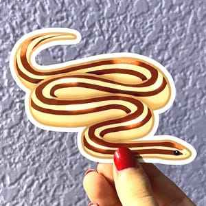Rosy Boa Sticker