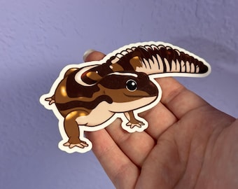 Peut inclure: Un autocollant en vinyle découpé représentant une illustration de gecko à queue grasse africain. Le gecko a un corps brun et crème avec des rayures horizontales brun foncé, une queue épaisse et une expression souriante avec de grands yeux noirs.
