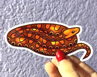 Rainbow Boa Sticker