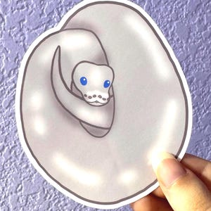 Blue-Eyed Leucistic Ball Python Sticker