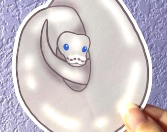 Blue-Eyed Leucistic Ball Python Sticker