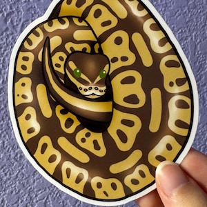 May include: A sticker featuring a coiled ball python. The snake has a brown and tan pattern with a dark brown head and green eyes. The sticker is on a white background.