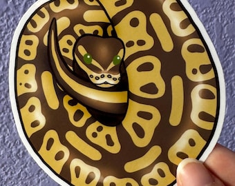 Lesser Ball Python Sticker