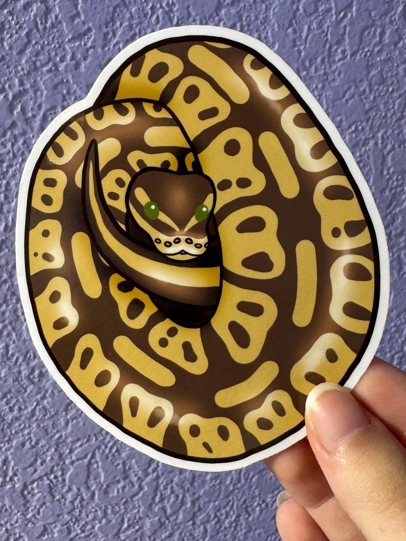 K&ouml;nnte beinhalten: Ein Aufkleber mit einer zusammengerollten K&ouml;nigspython. Die Schlange hat ein braunes und beiges Muster mit einem dunkelbraunen Kopf und gr&uuml;nen Augen. Der Aufkleber befindet sich auf wei&szlig;em Hintergrund.