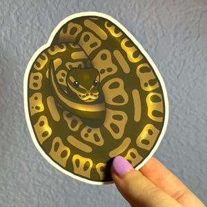 May include: A sticker of a curled up brown and yellow snake with a black and white pattern. The snake has a light brown head with black eyes.