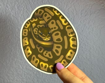 Ball Python Sticker